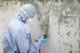 Best Air Quality Testing for Mold Spores  in Bladenboro, NC